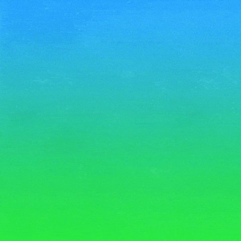 Love & Water & Food & Shelter