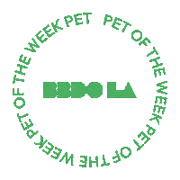 BBDOLA pet of the week bbdo la Sticker