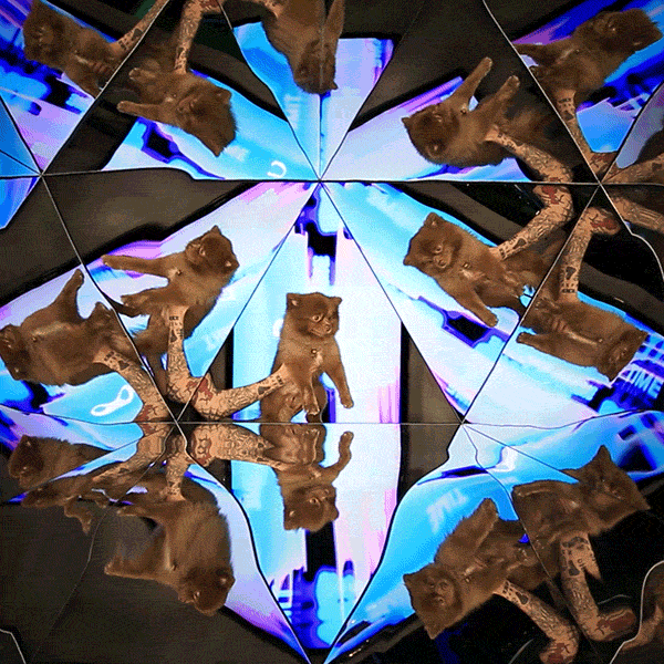 giphyupload photobooth portrait kaleidoscope timeframe GIF
