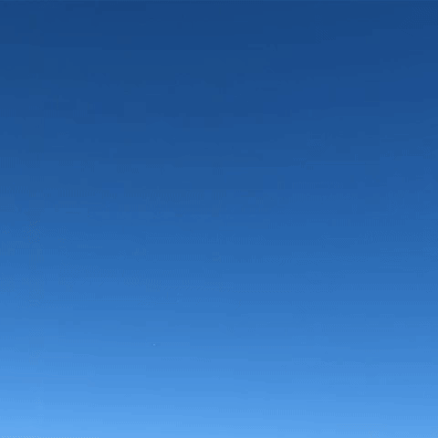 Belico Zero Body Floating