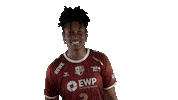 Potsdam Sticker by Volleyball Bundesliga