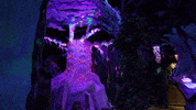meowwolf new mexico santa fe meow wolf meow wolf santa fe GIF