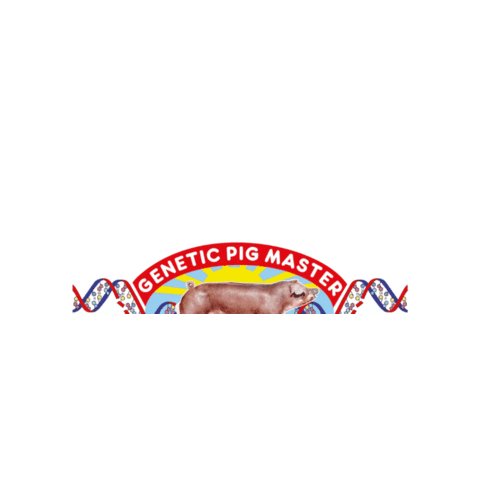 frigoconcepcion giphygifmaker Sticker