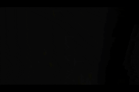 Pfaffc giphyupload GIF