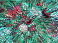 art colors GIF by MFD