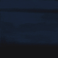 Rogue Ales Fun GIF by Rogue Ales & Spirits