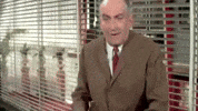 louis de funes GIF by vrt