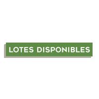 Lotes Sticker