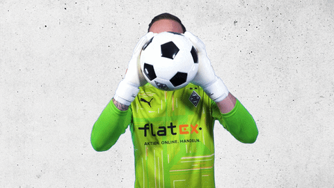 Tobias Sippel Bundesliga GIF by Borussia Mönchengladbach