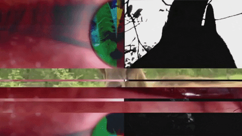 Art Video GIF by jorgemariozuleta