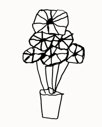 Fun Plant GIF