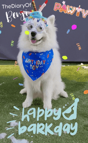 Party Birthday GIF