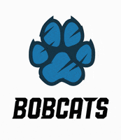 BryantStratton bobcats bryantstratton bryant stratton bscbobcats GIF