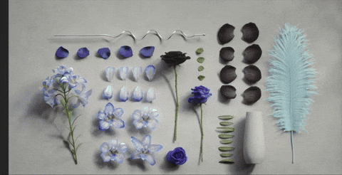 CarolineDenby giphyupload GIF