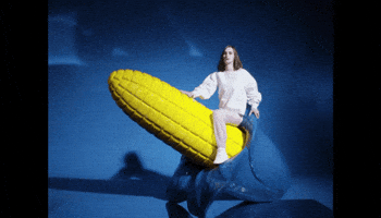 corn cob GIF
