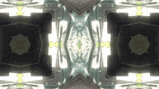 Art Video GIF by jorgemariozuleta