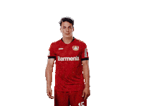 Bayer 04 Facepalm Sticker by Bayer 04 Leverkusen