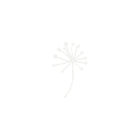 ByMissPluis flower fluffy wit dandelion Sticker