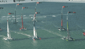 Racing GIF by SailGP