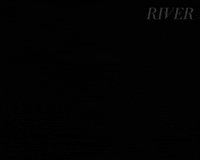 Concert Performance GIF by Madman Films