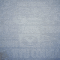 Brigham Young Stanley GIF by BYU Cougars