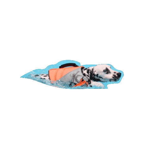 Sera Sticker