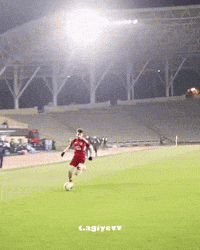 Qarabag GIF