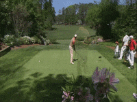 phil mickelson no GIF