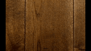 Vloer GIF by Adam Brown