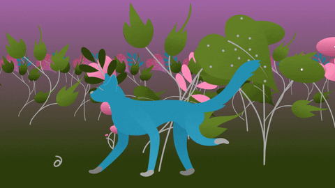 liviyde giphyupload cat pink blue GIF