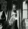 evil cats vintage GIF by absurdnoise