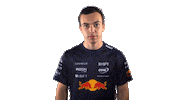 Red Bull Sr Sticker by Oracle Red Bull Racing