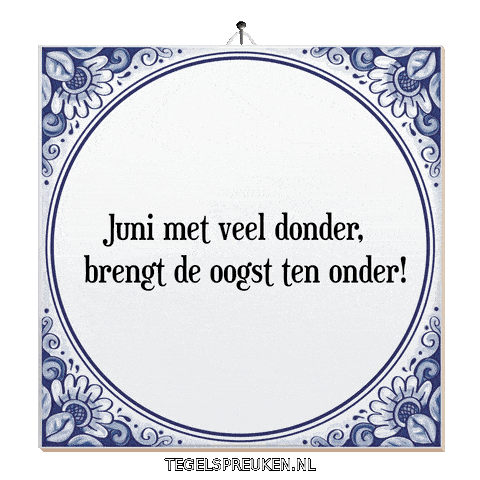 Humor Storm Sticker by Tegelspreuken.nl