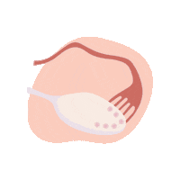 Health Wellness Sticker by Binto