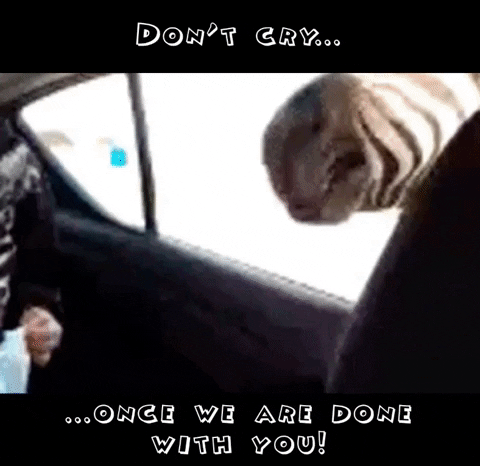 Cry Esports GIF by BS+COMPETITION