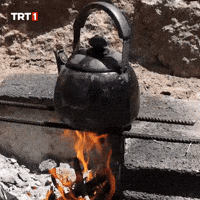 Drink Tea Cooking GIF by TRT