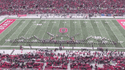 Looney Tunes Buckeyes GIF by tbdbitl