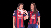 Ikurrina GIF by SD Eibar