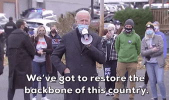 Joe Biden GIF by Election 2020