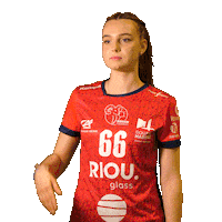 Sport Handball Sticker