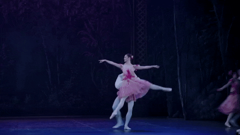 Nutcracker GIF by English National Ballet