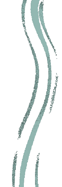 berrynicestudio wave lines border teal lines Sticker