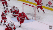Happy Red Wings GIF by NHL