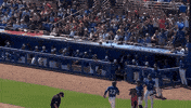 Happy Blue Jays GIF by Toronto Blue Jays