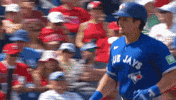 High Five Blue Jays GIF by Toronto Blue Jays