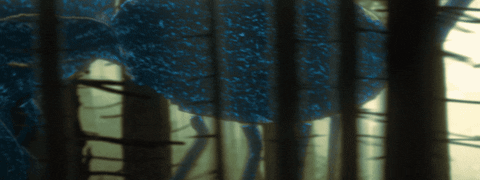 Jurassic Park Animation GIF by Red Giant