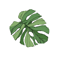 Palm Tree Summer Sticker by Kate Obert