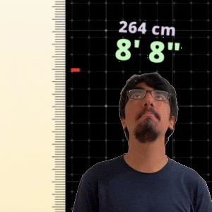 8' 8"