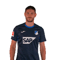 Andrej Kramaric Sport Sticker by TSG Hoffenheim