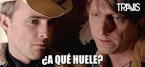 Spanish Meme GIF by Travis